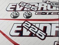 Evinrude 225HP E-tec (90° V6, 3.3L) Blue Cowling Outboard Decal Kit